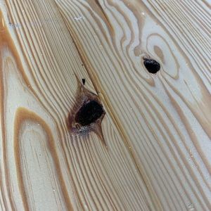 Meet your Posher, Blake